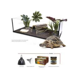 KIT TORTUE TERRA 100 EQUIPE AQUAVIE
