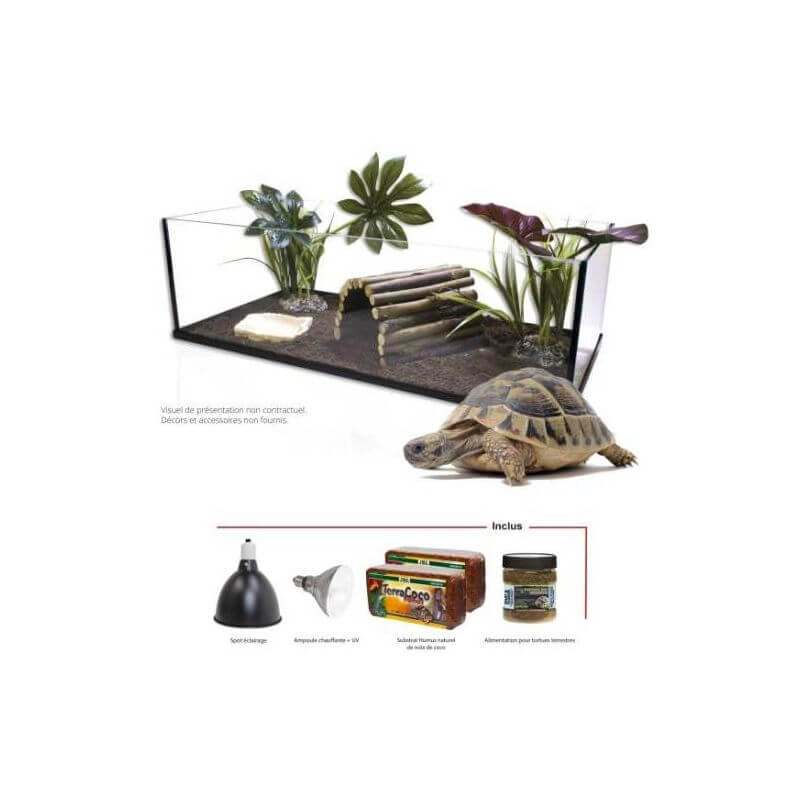 KIT TORTUE TERRA 100 EQUIPE AQUAVIE