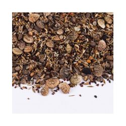 REPTISEEDS MIX GRAINES A GERMER 40gr