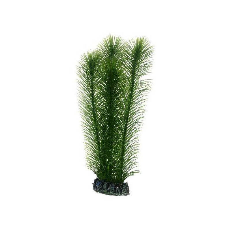 HOBBY MAYACA 25cm