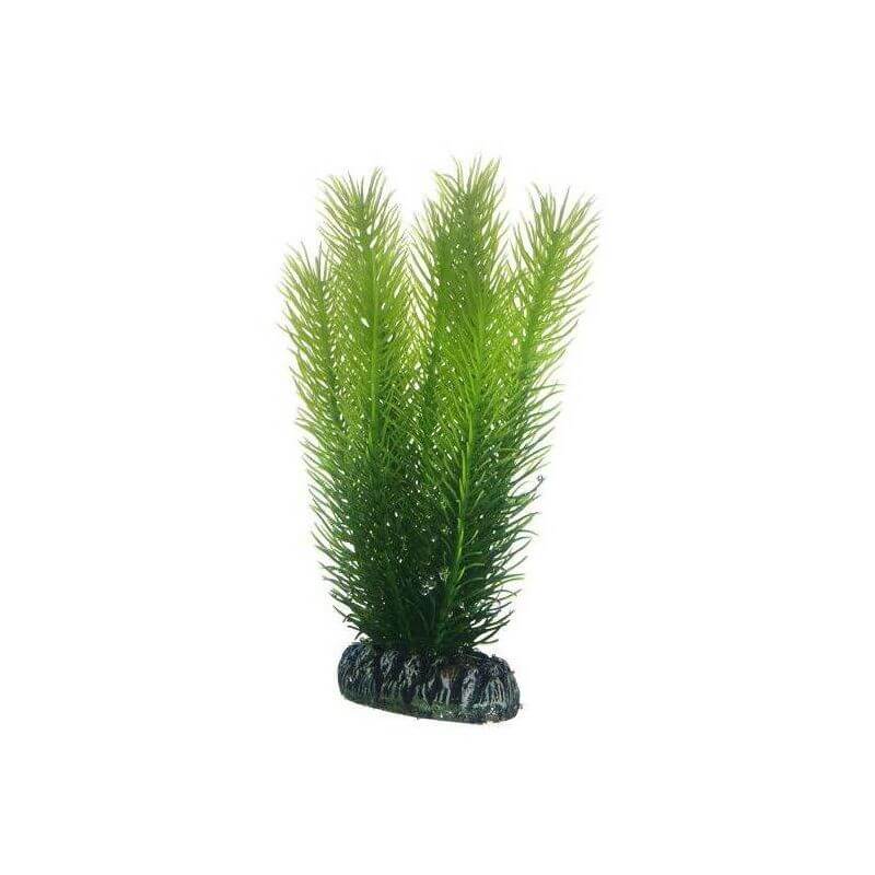 HOBBY MAYACA 16cm