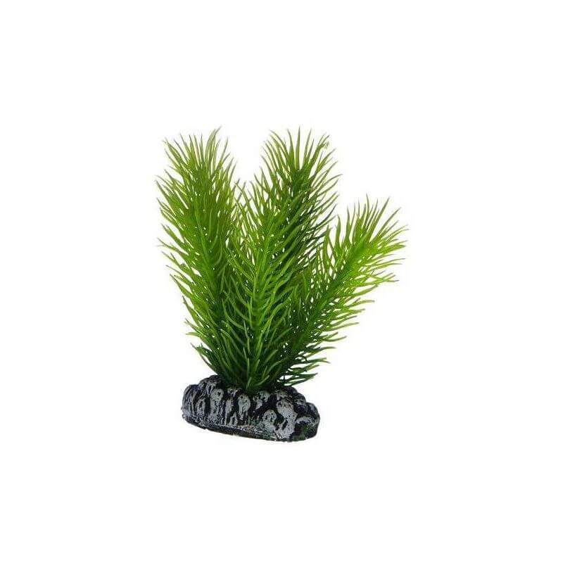 HOBBY MAYACA 7cm