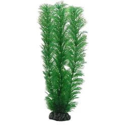 HOBBY EGERIA 20cm