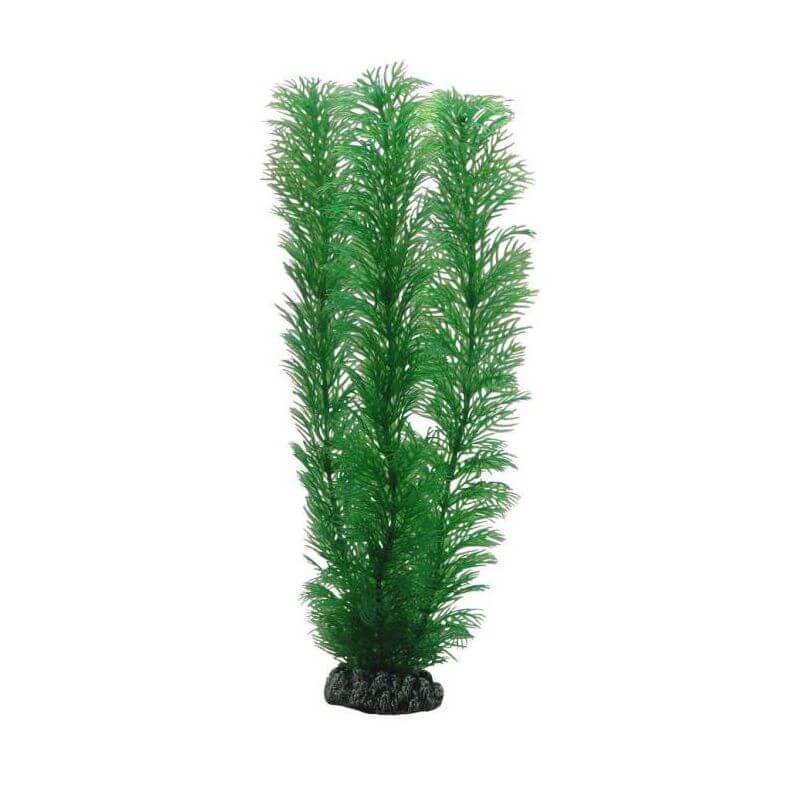HOBBY EGERIA 20cm