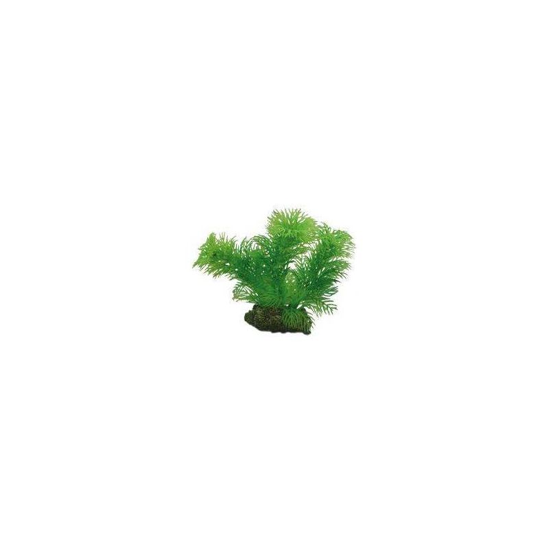HOBBY EGERIA 13cm