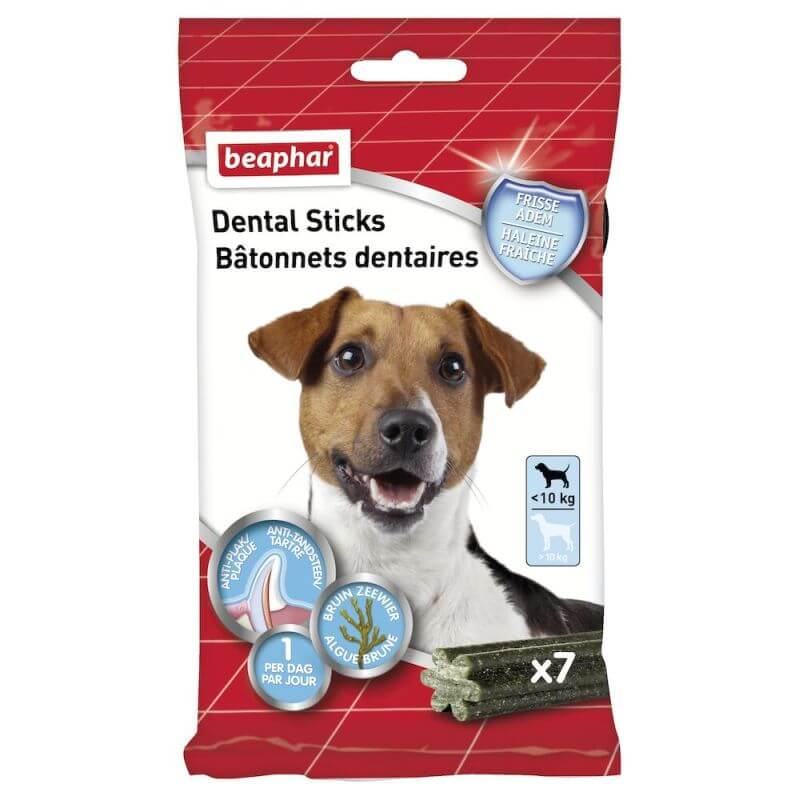 BATONNETS DENTAIRES PETITS CHIENS