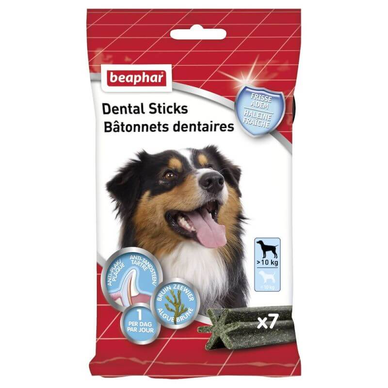 BATONNETS DENTAIRES GRANDS CHIENS