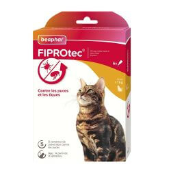 FIPROTEC SPOT-ON CHATS PUCES & TIQUES 6x0.5ml