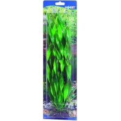 HOBBY VALLISNERIA 34cm