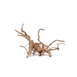 VIGNE RARE ROUGE M 20-45cm