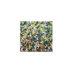 AQUASABLE COLOR MIX VERT S4 - POT 1kg