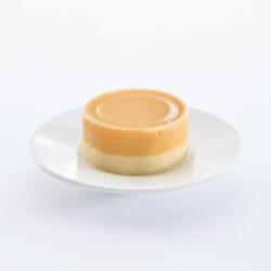 POCHON FILOUS CHAT MOUSSE POULET SAUMON 85gr