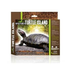 TURTLE ISLAND M