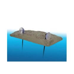 TURTLE ISLAND M