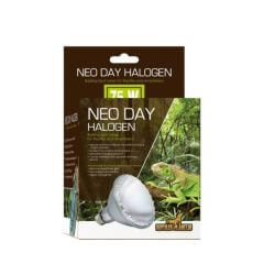 HALOGENE 75W