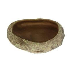 REPTI DISH XL 18x4x15cm