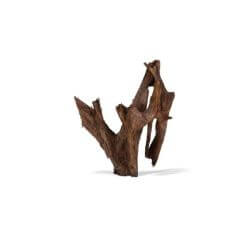 RACINE MANGROVE GM 40-60cm