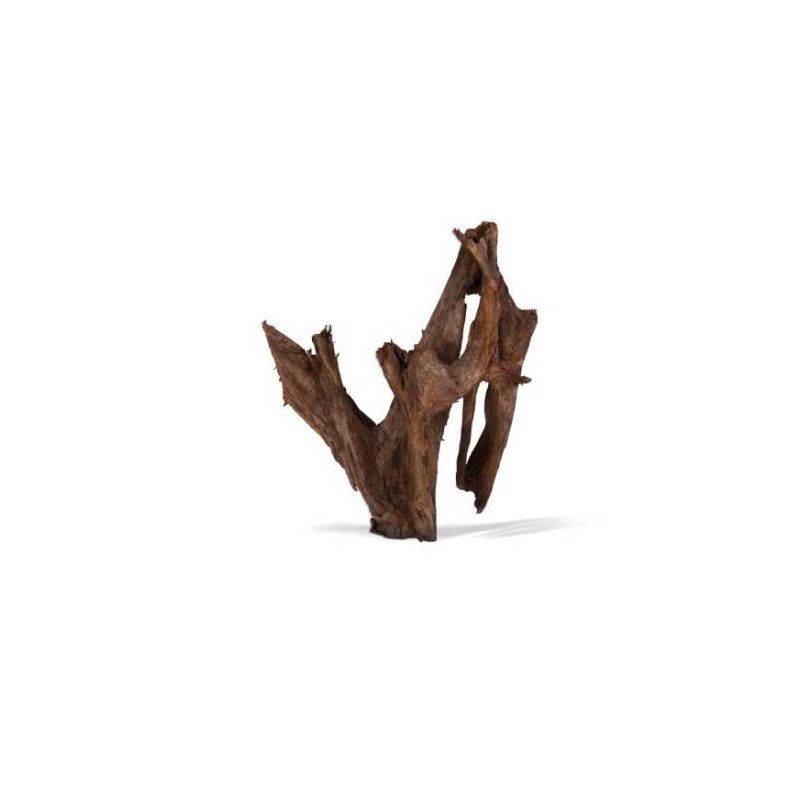 RACINE MANGROVE GM 40-60cm