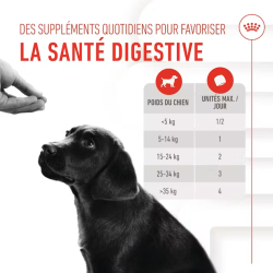ROYAL CANIN ADULT PUPPY IMMUNITY & DIGESTION SUPP 100gr