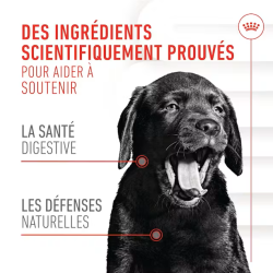 ROYAL CANIN ADULT PUPPY IMMUNITY & DIGESTION SUPP 100gr