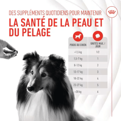 ROYAL CANIN ADULT SKIN & COAT SUPP 240gr