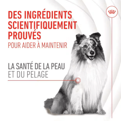 ROYAL CANIN ADULT SKIN & COAT SUPP 240gr