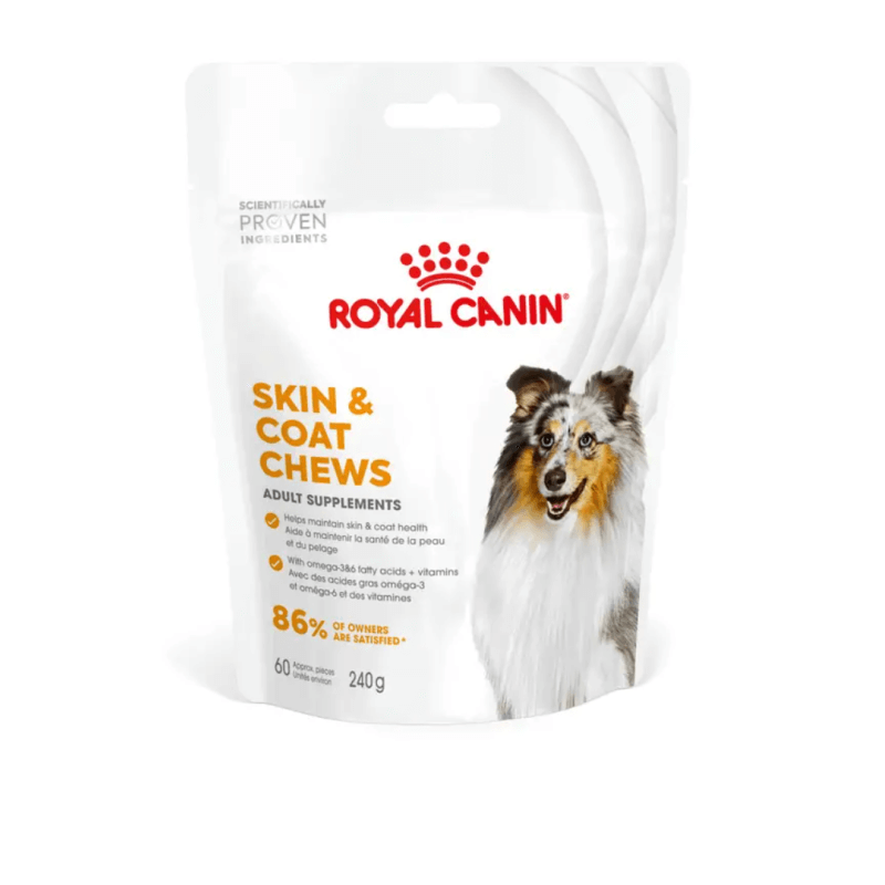 ROYAL CANIN ADULT SKIN & COAT SUPP 240gr