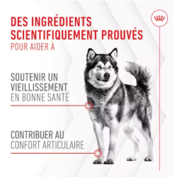 ROYAL CANIN ADULT JOINT&AGEING SUPP 240gr