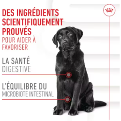 ROYAL CANIN ADULT DIGESTION SUPP 160gr