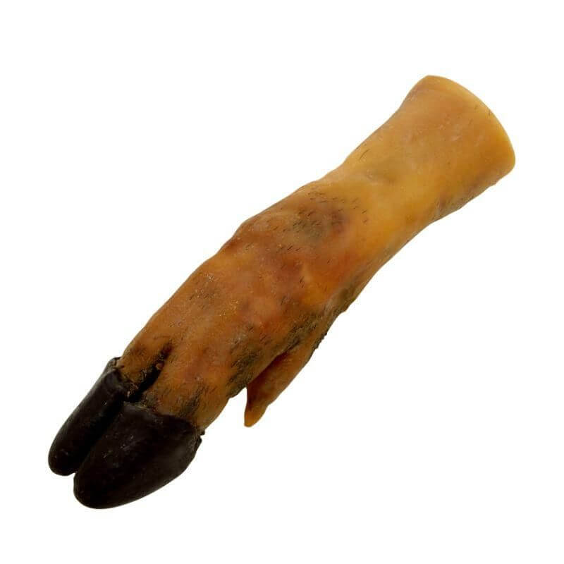 PIED DE PORC x10
