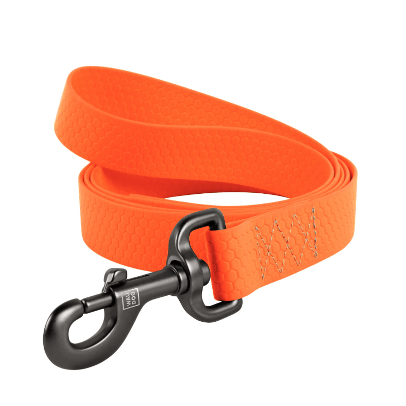 LAISSE WAUDOG COLLARTEX 20mm 122cm ORANGE
