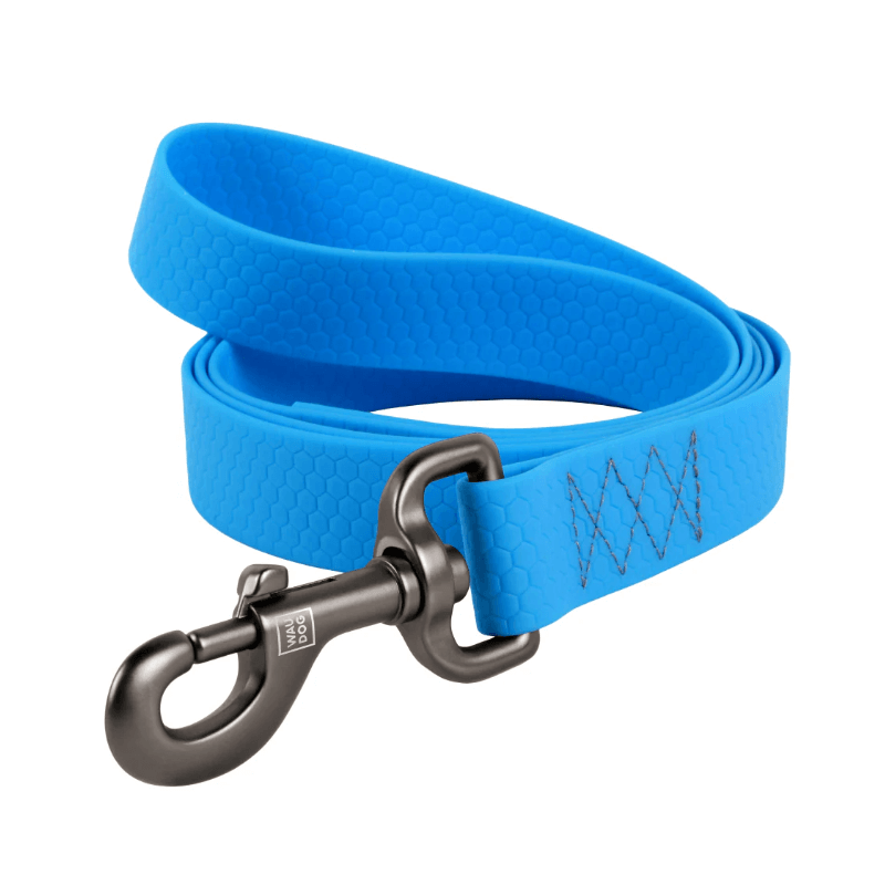 LAISSE WAUDOG COLLARTEX 20mm 122cm BLEU