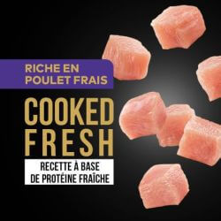 DAFF GRAIN FREE CHIEN SENIOR LIGHT POULET FRAIS 3KG