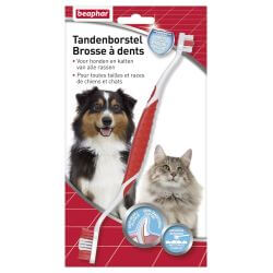 BROSSE A DENTS TOUTES TAILLES /TOUTES RACES