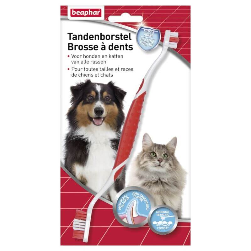 BROSSE A DENTS TOUTES TAILLES /TOUTES RACES