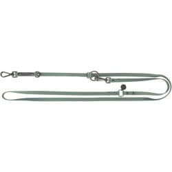 LAISSE REGL. CITYSTYLE PVC L-XL 2m/20mm SAUGE
