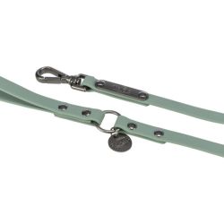 LAISSE CITYSTYLE PVC L-XL 1m/20mm SAUGE