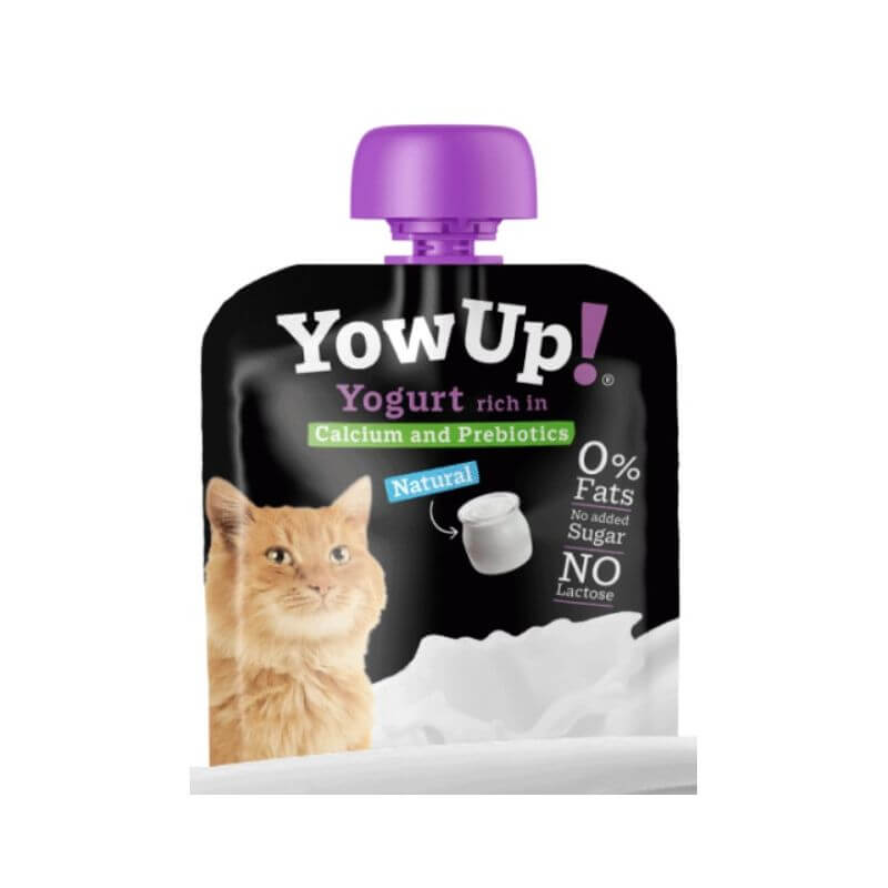 YOWUP YAOURT POUR CHAT 85G