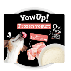YOWUP GLACE SAVEUR CAKE BACON