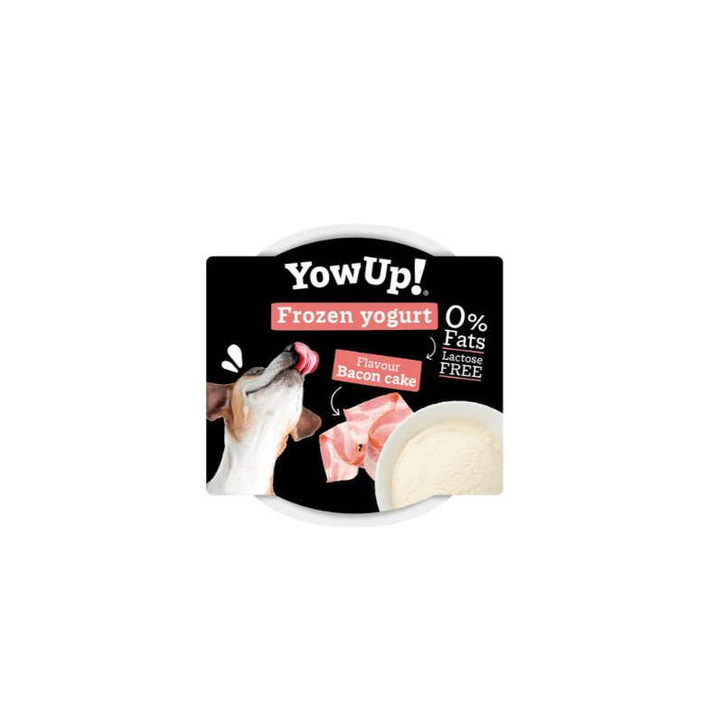 YOWUP GLACE SAVEUR CAKE BACON