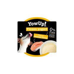 YOWUP GLACE SAVEUR SAUMON TARTARE