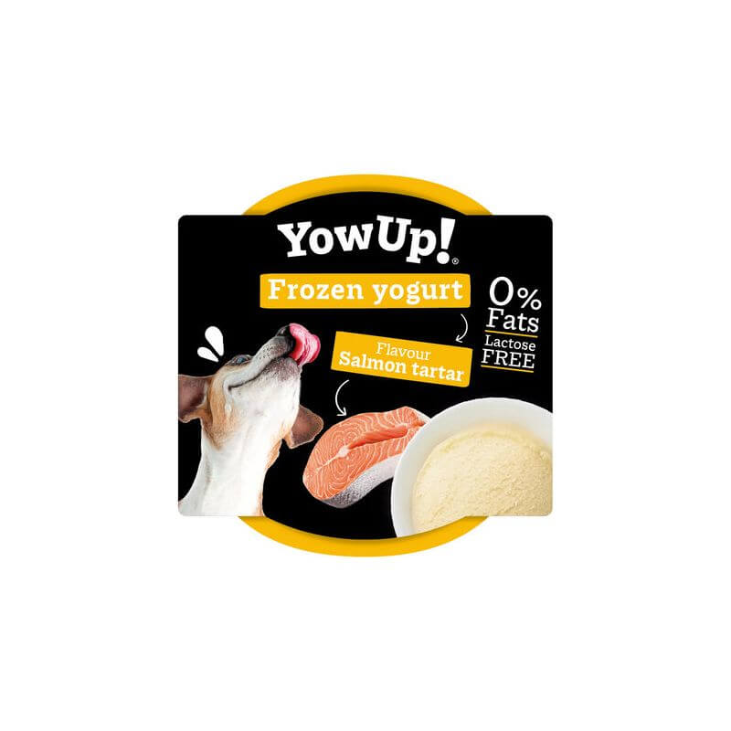 YOWUP GLACE SAVEUR SAUMON TARTARE