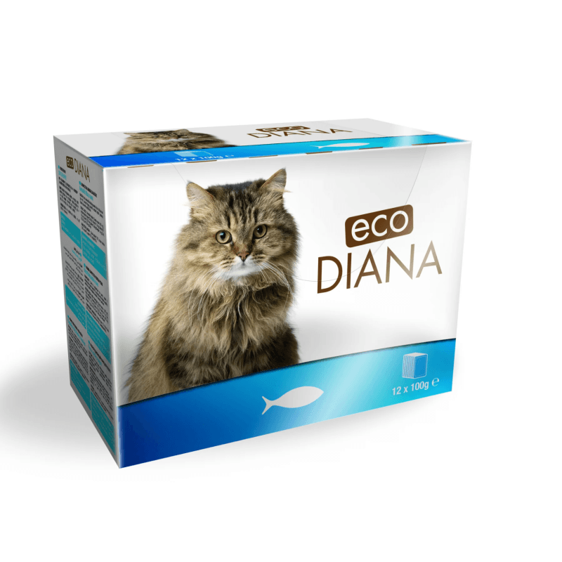 ECO POCHON 12x100gr CHAT POISSON