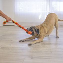 PELUCHE SERPENT ASSORTI M/L