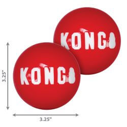 KONG SIGNATURE BALLS LG X2