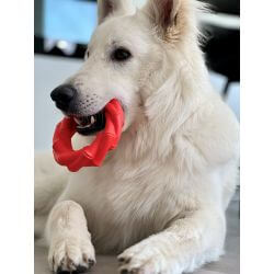 JV PLAYSCENT Anneau Boeuf-Ø14cm