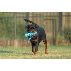 JV PLAYSCENT Dummy Bacon-24cm