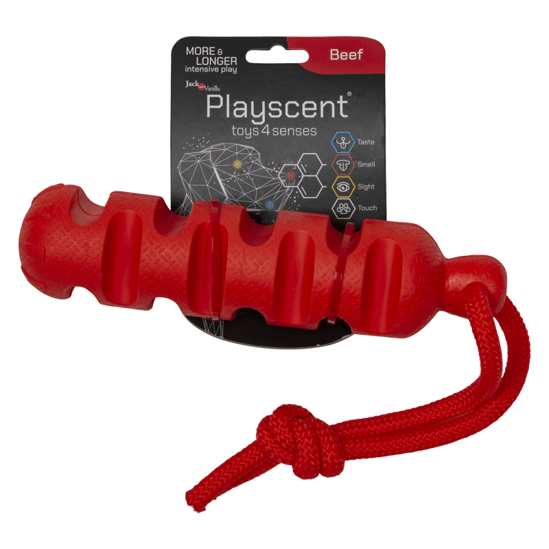 JV PLAYSCENT Dummy Boeuf-24cm