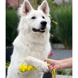 JV PLAYSCENT Dummy Poulet-24cm