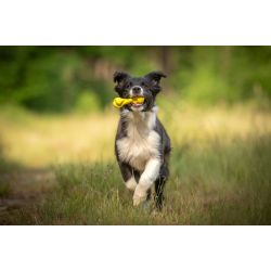 JV PLAYSCENT Os Tordu Poulet-22cm